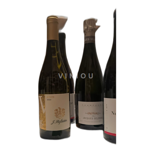 Véneto Vigneti delle Dolomiti Hofstätter De Vite 2023