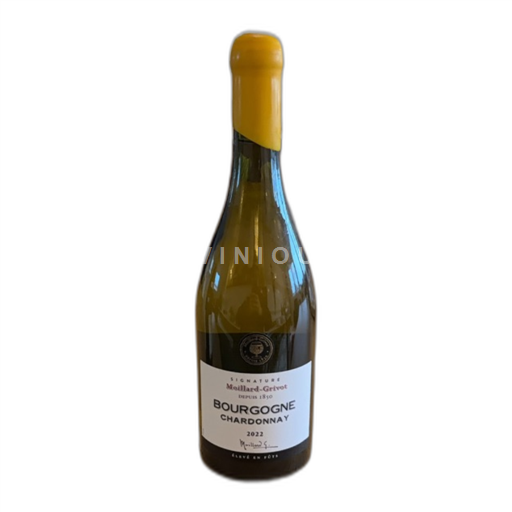 Borgogna Borgogna Chardonnay Moillard-Grivot Signature 2022