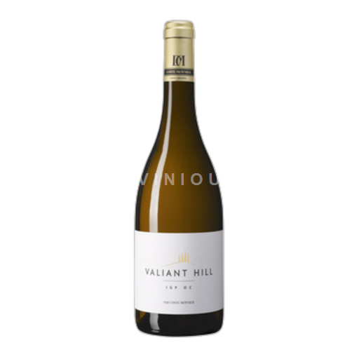 Languedoc e Roussillon Hérault Domaine Coste Moynier St Christol Valiant Hill 2023 2023