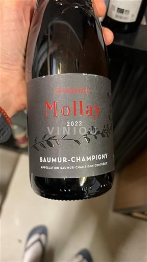 Loire-dalen Saumur-Champigny Domaine MOLLAY 2022