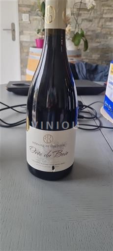 Valle del Rodano Côtes-du-rhône-villages Domaine de l'Olivier Orée du Bois 2016