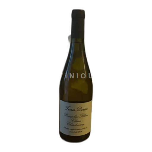 Beaujolais Terres Dorées Classic 2023