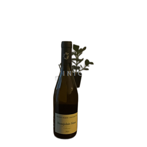 Beaujolais Pierre-Marie Chermette Collonges 2023