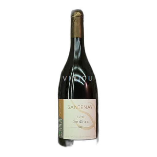 Vin Rouge sec Domaine Chapelle et Fils 2021 France Bourgogne Santenay AOC