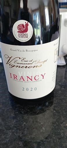 Borgoña Irancy Eric et Emmanuel Dampt 2020