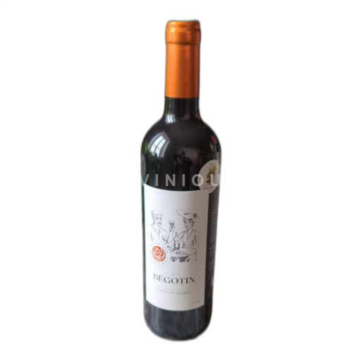 Bordeaux Côtes-de-bourg Château Bégot Le Bégotin 2018