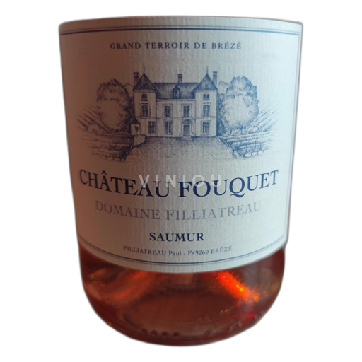 Dolina Loare Saumur Château Fouquet Neleten.