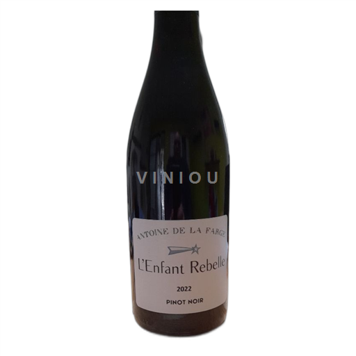Alsazia Pinot nero Antoine de la Farge L'Enfant Rebelle 2022