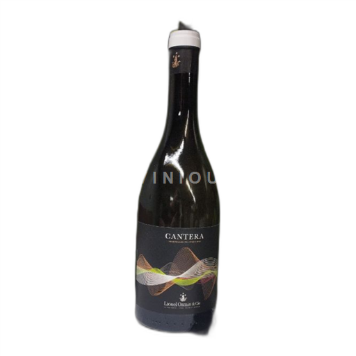 South West Comté Tolosan Lionel Osmin & Cie Cantera 2023