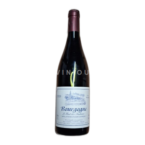Bourgogne Le Haut des Saulniers 2020