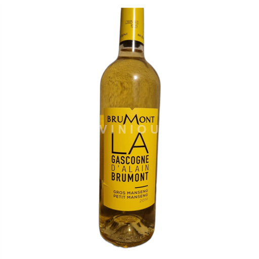 Lounais-Ranska Määrittelemätön Brumont petit et gros manseng 2019