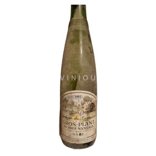 Valle della Loira Gros-plant-del-paese-nantese corbinieres 1993