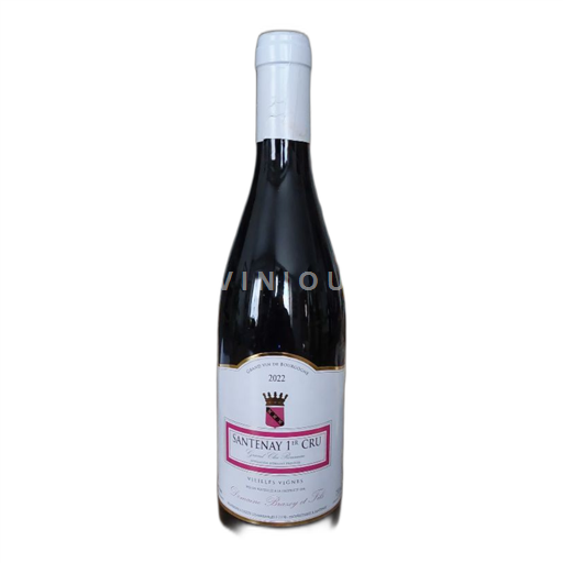 Borgoña Santenay Premier Cru Domaine Braxey & Fils  2022