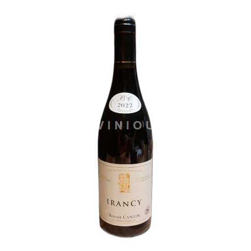 Borgogna Irancy Domaine Cantin B 2022