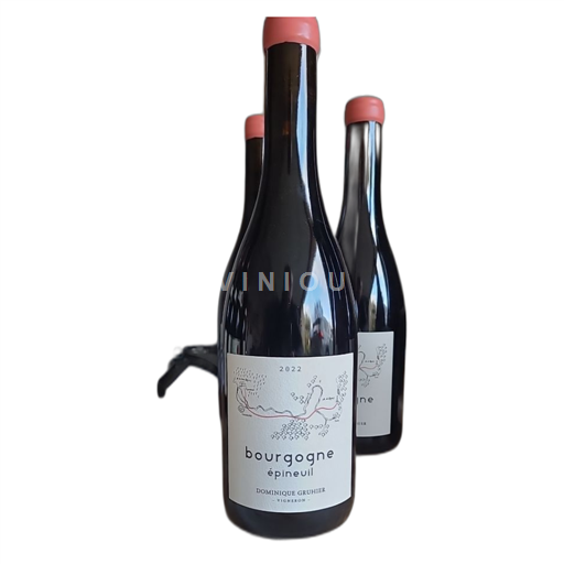 Borgoña Borgoña Epineuil Dominique Gruhier Épineuil 2022