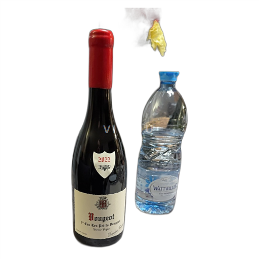 Borgoña Vougeot Premier Cru Domaine Fourrier les petits vougeot 2022