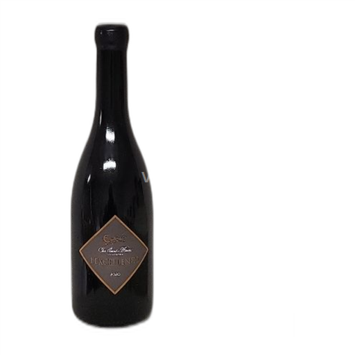 Loiren laakso Orléans Clos Saint Fiacre 2020