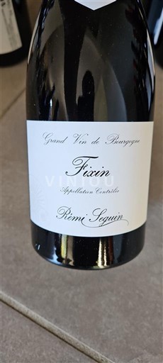 Burgundi Fixin Rémi Seguin Ei vuosikertaa