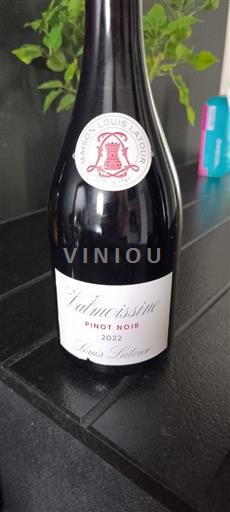 Alsazia Pinot nero Maison Louis Latour Valmoissine 2022