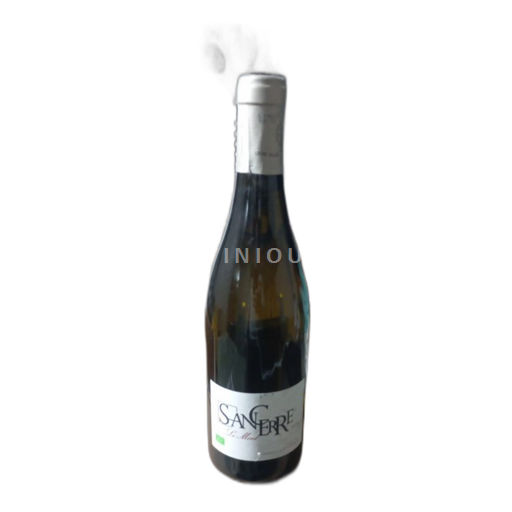 Loiretal Sancerre Le Mont 2019