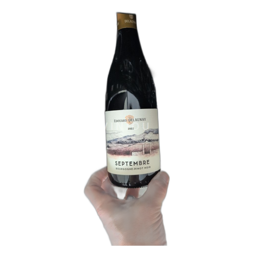 Burgundi Bourgogne Edouard Delaunay Septembre 2022