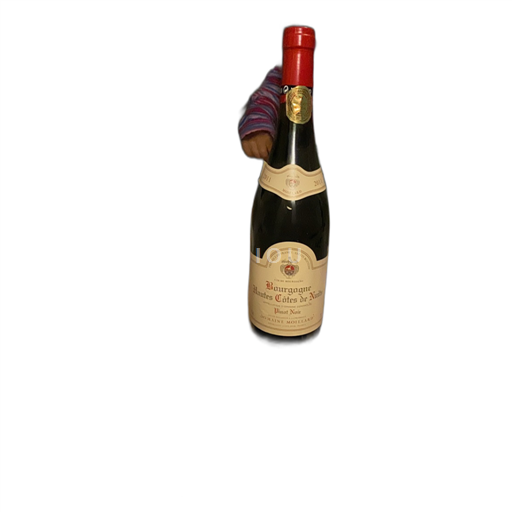 Burgundy Hautes Côtes de Nuits Domaine Moillard Non-Vintage