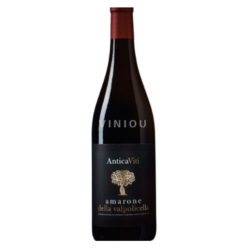 Vénétie Amarone della Valpolicella Antica Viti 2021