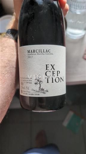 Vin Rouge sec Exception 2017 France Sud-Ouest Marcillac AOC