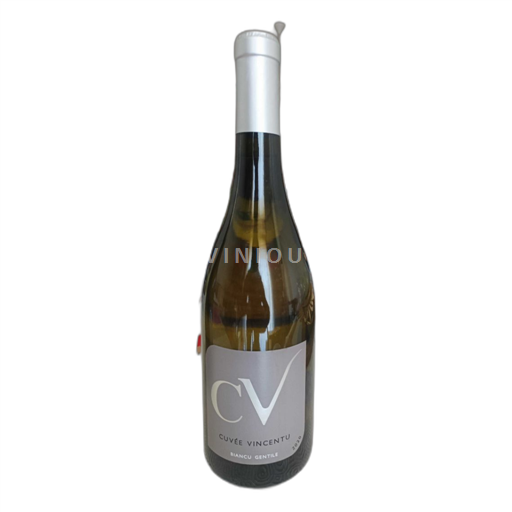 Corsica Île van Schoonheid Domaine Vincentu Vincentu 2020