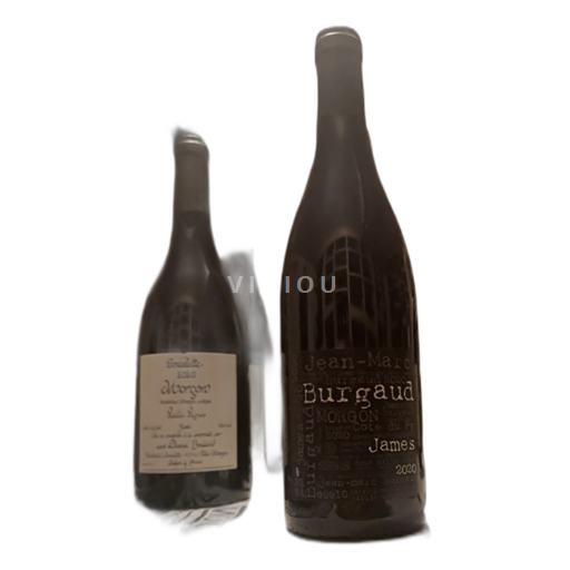 Beaujolais Morgon Jean-Marc Burgaud James 2020