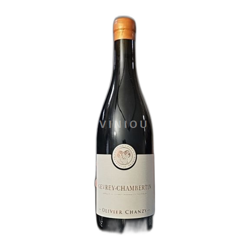 Burgundy Gevrey-Chambertin Olivier Chanzy 2022 2022