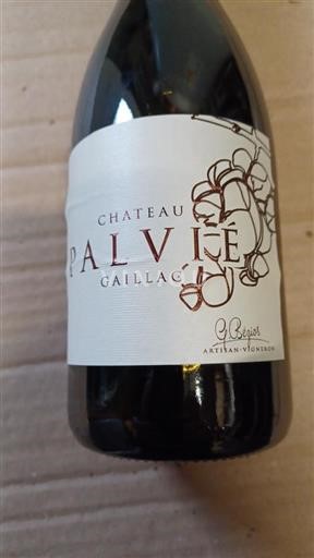 South West Gaillac Château Palvié 2020