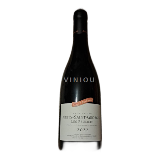 Bourgogne Nuits-saint-georges David Duband Les Pruliers 2022