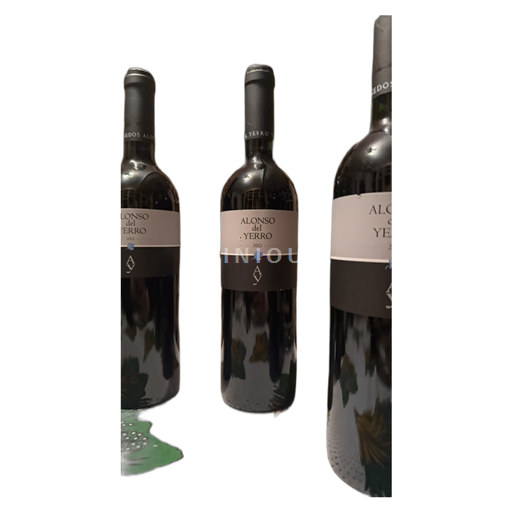 Castilien og León Ribera del Duero Alonso del Yerro 2013