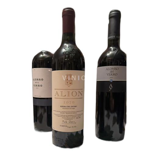 Kastilien und León Ribera del Duero Vega Sicilia Alion 2020