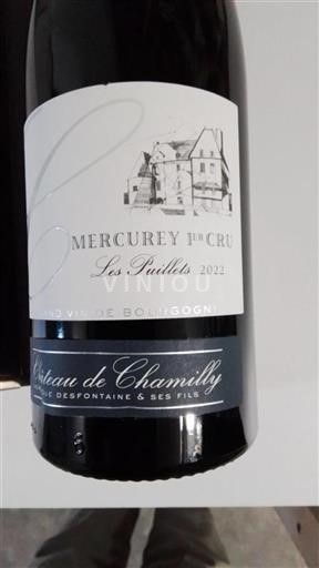 Borgogna Non specificato Château de Chamilly Les Puillets 2022
