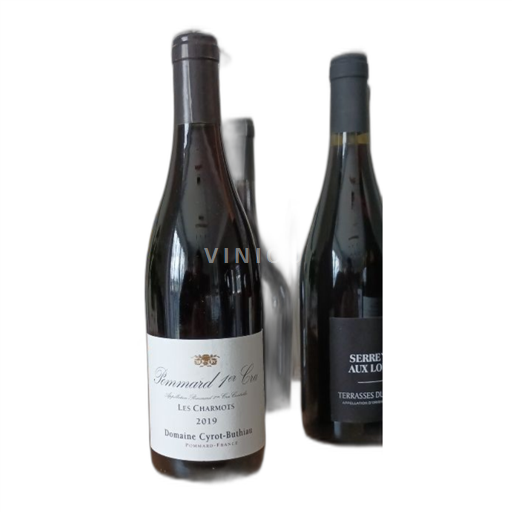 Borgoña No especificado Domaine Cyrot-Buthiau Les Charmots 2019