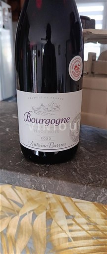 Burgund Antoine Barrier 2022