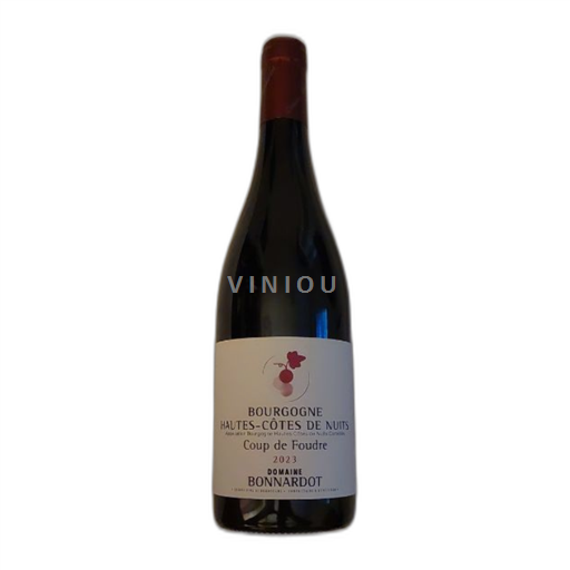 Burgundy Hautes Côtes de Nuits Domaine Bonnardot Coup de Foudre 2023