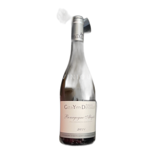Burgundija Bourgogne Aligoté Domaine Guy & Yvan Dufouleur 2021