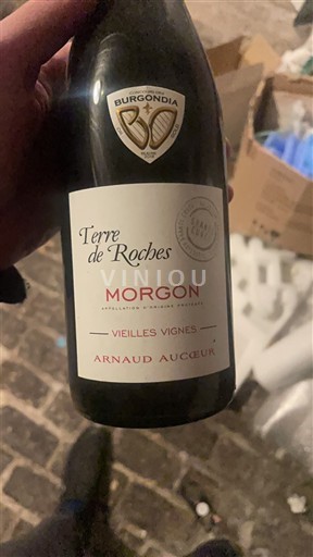 Beaujolais Morgon Arnaud Aucoeur Terre de roches vieilles vignes 2017