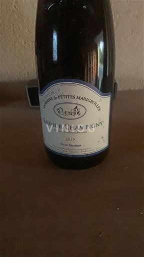 Loire-dalen Saumur-Champigny Domaine les Petites Marigrolles 2019