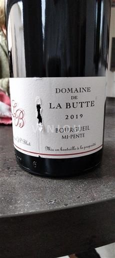 Vale do Loire Bourgueil Domaine de la Butte Mi-Pente 2019