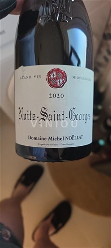 Bourgogne Nuits-Saint-Georges Domaine Michel Noëllat 2020