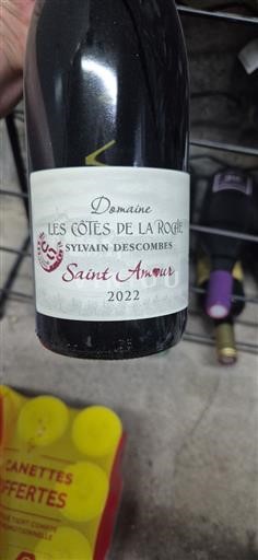 Beaujolais Saint-Amour Domaine Les Côtes de la Roche 2022