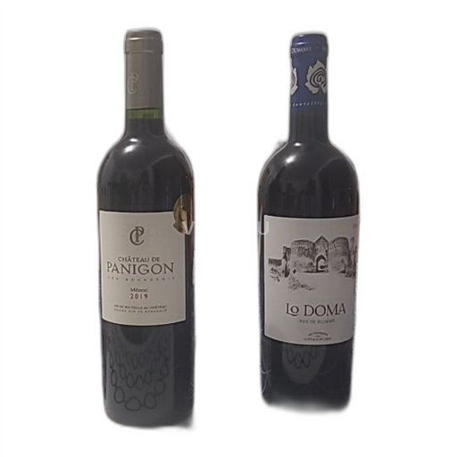 Bordeaux Médoc Château de Panigon Cru bourgeois 2019