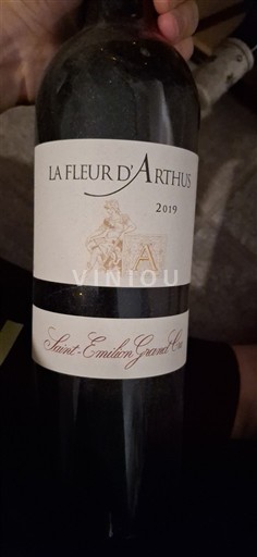 Bordeaux Saint-Émilion Grand Cru Grand Cru La Fleur D'Arthus 2019