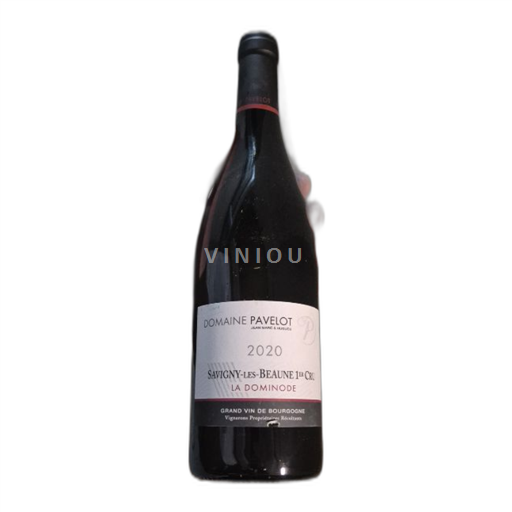 Burgundsko Nespecifikováno Premier Cru Domaine Pavelot La Dominode 2020