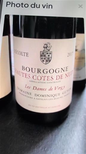 Burgundsko Hautes Côtes de Nuits Domaine Dominique Guyon Les Dames de Vergy 2017