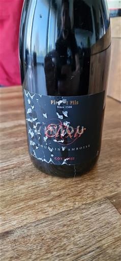 Loirevallei Touraine-Amboise Plou et Fils Elixir 2022